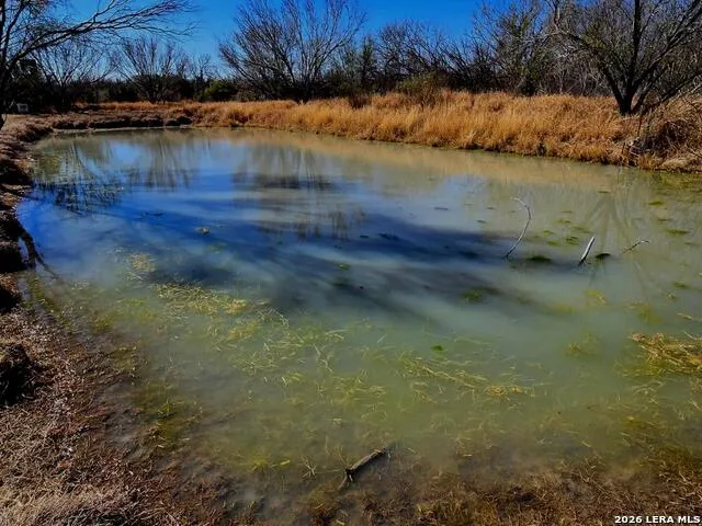1297 Fm 1433 Carrizo Springs, TX 78834