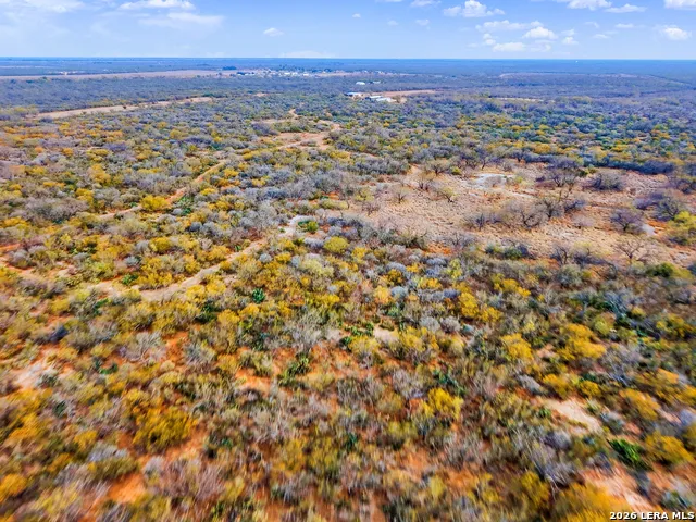 1297 Fm 1433 Carrizo Springs, TX 78834