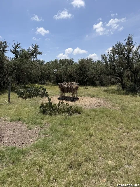 253 SD 31510 Rocksprings, TX 78880