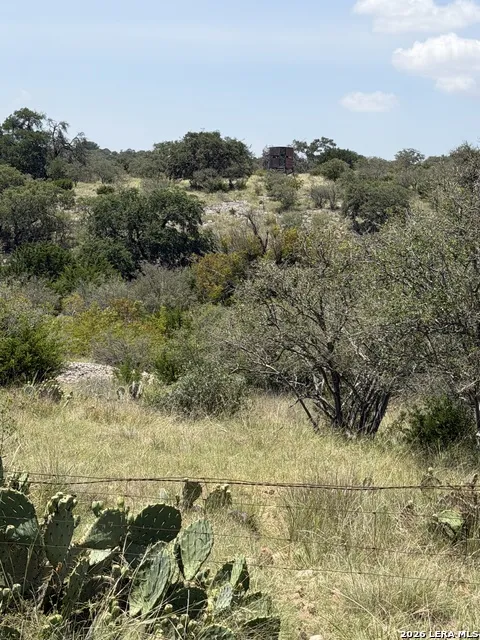 253 SD 31510 Rocksprings, TX 78880