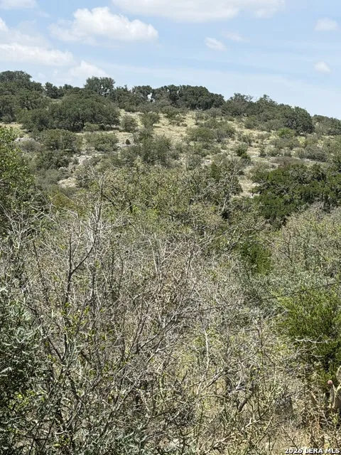 253 SD 31510 Rocksprings, TX 78880
