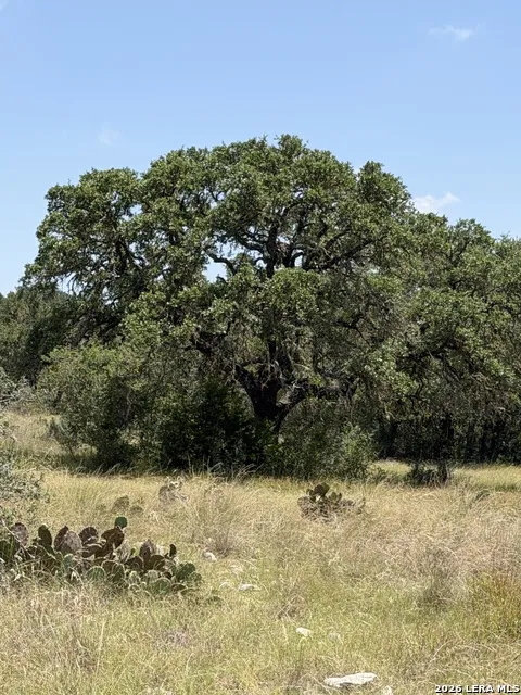 253 SD 31510 Rocksprings, TX 78880