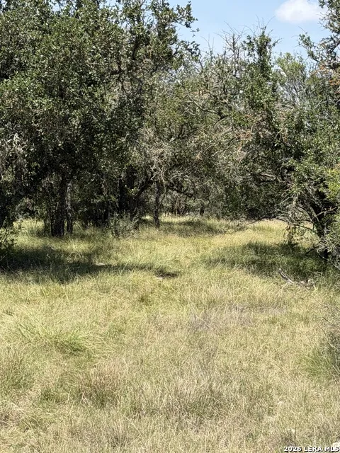253 SD 31510 Rocksprings, TX 78880