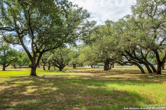 2310 State Highway 97 Pleasanton, TX 78064