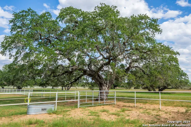 2310 State Highway 97 Pleasanton, TX 78064