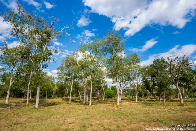 2310 State Highway 97 Pleasanton, TX 78064