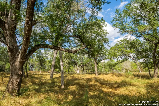2310 State Highway 97 Pleasanton, TX 78064