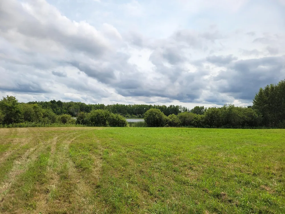 TBD Woodbury Drive Wright, MN 55798