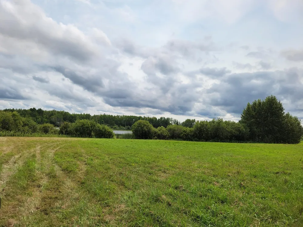 TBD Woodbury Drive Wright, MN 55798