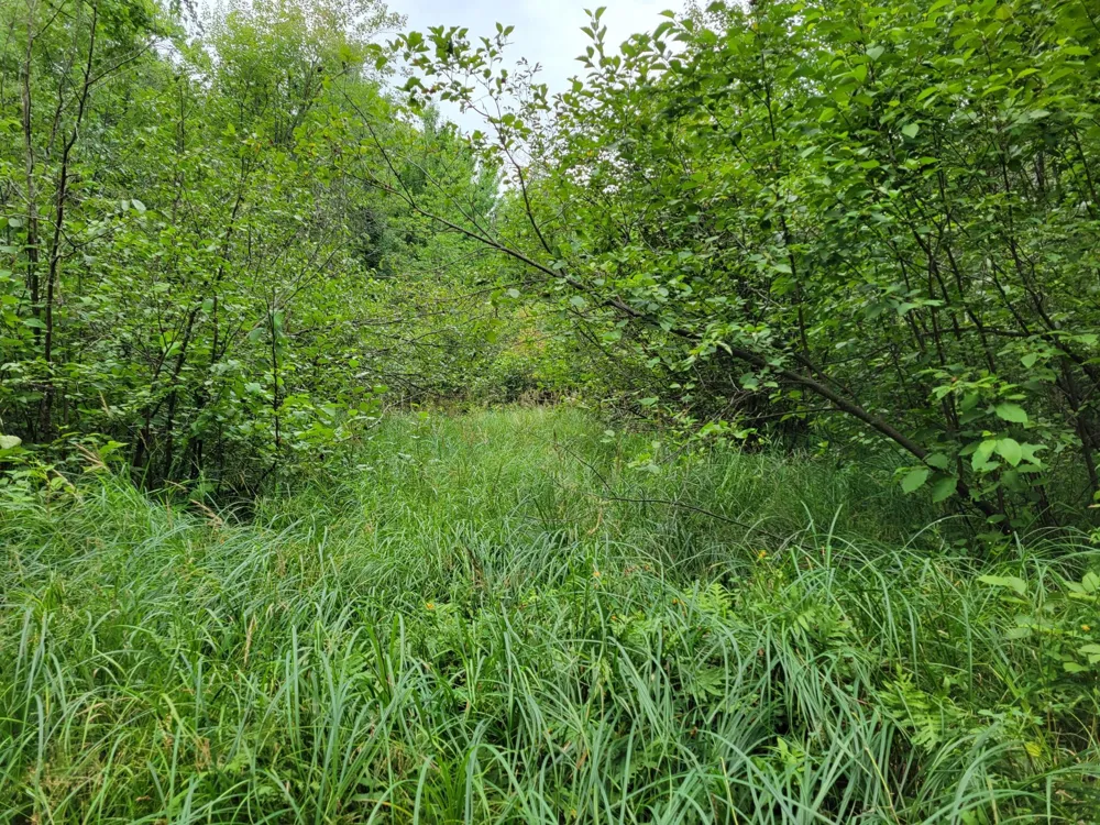 TBD Woodbury Drive Wright, MN 55798