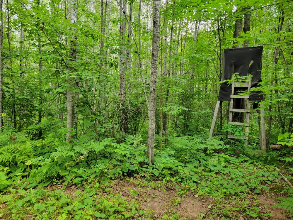 TBD Woodbury Drive Wright, MN 55798