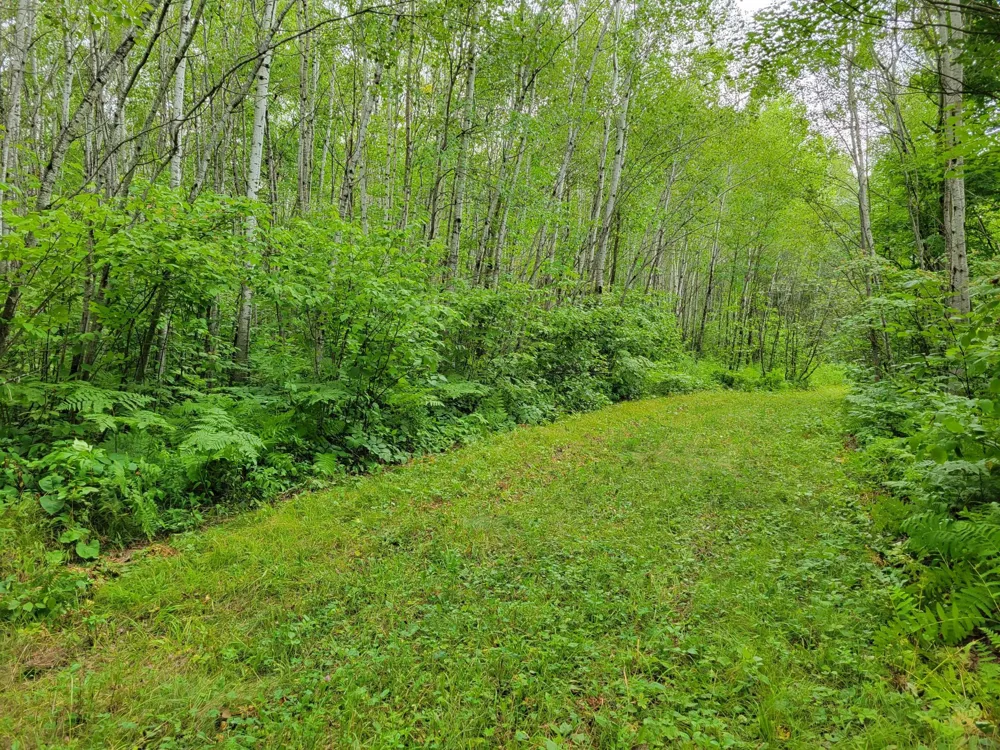 TBD Woodbury Drive Wright, MN 55798