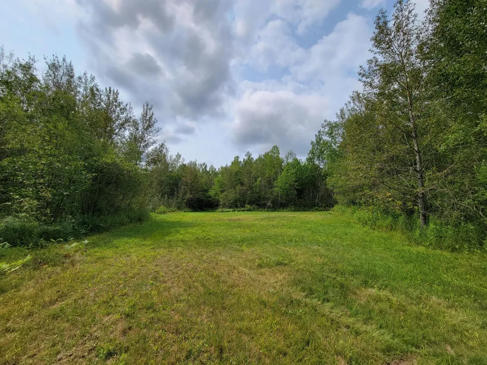 TBD Woodbury Drive Wright, MN 55798