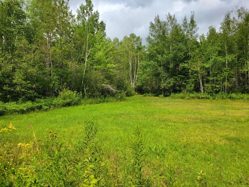 TBD Woodbury Drive Wright, MN 55798