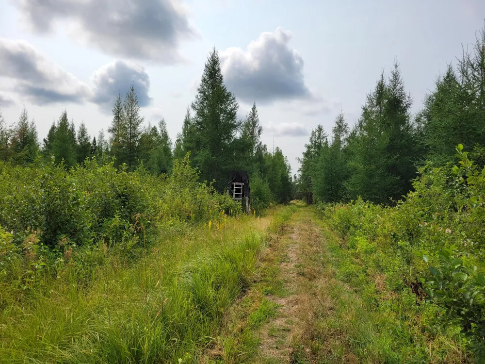 TBD Woodbury Drive Wright, MN 55798