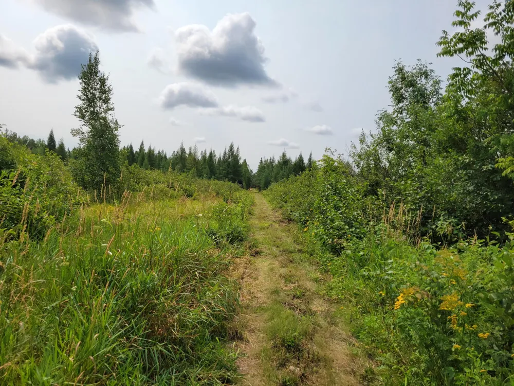 TBD Woodbury Drive Wright, MN 55798