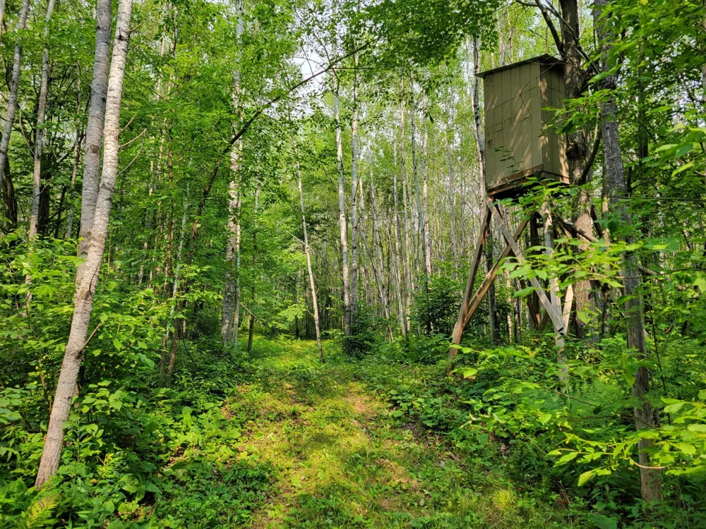 TBD Woodbury Drive Wright, MN 55798