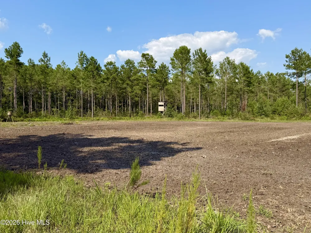 2310 Devils Racetrack Road Four Oaks, NC 27524