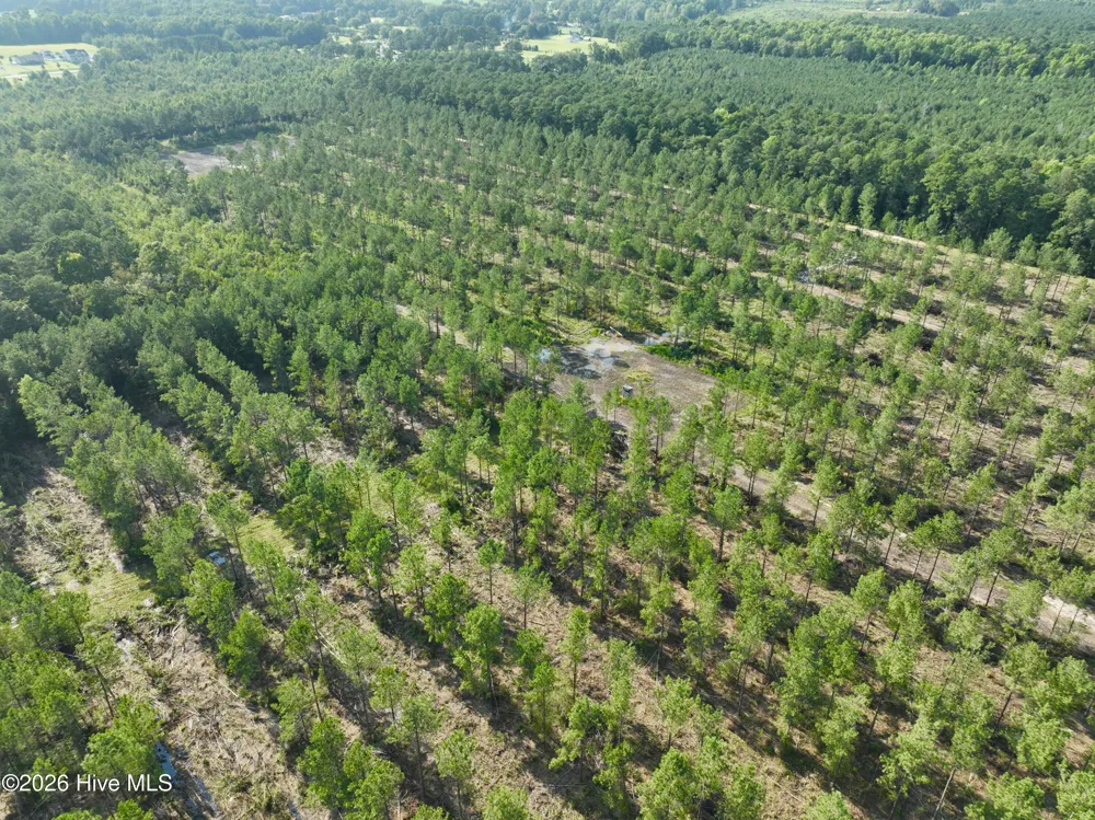 2310 Devils Racetrack Road Four Oaks, NC 27524
