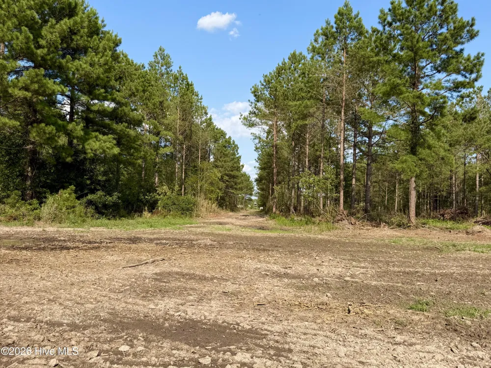 2310 Devils Racetrack Road Four Oaks, NC 27524