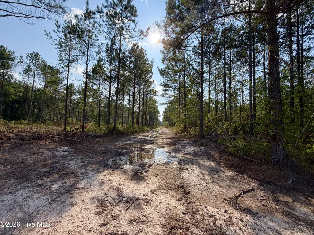 2310 Devils Racetrack Road Four Oaks, NC 27524