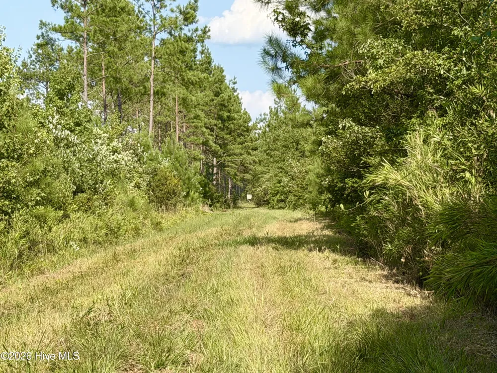 2310 Devils Racetrack Road Four Oaks, NC 27524