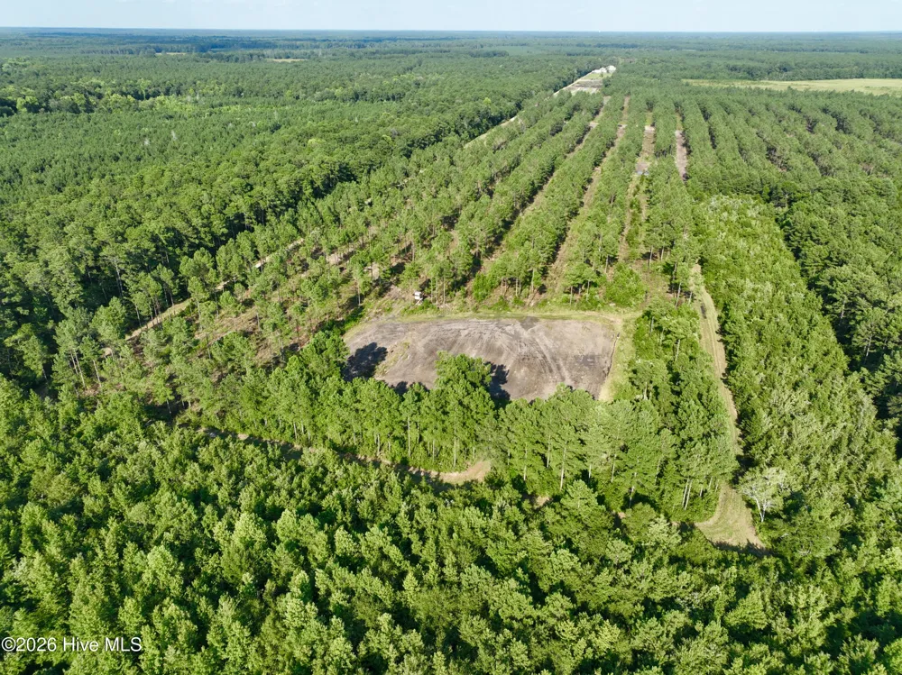 2310 Devils Racetrack Road Four Oaks, NC 27524