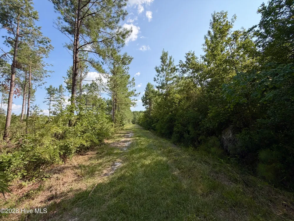 2310 Devils Racetrack Road Four Oaks, NC 27524