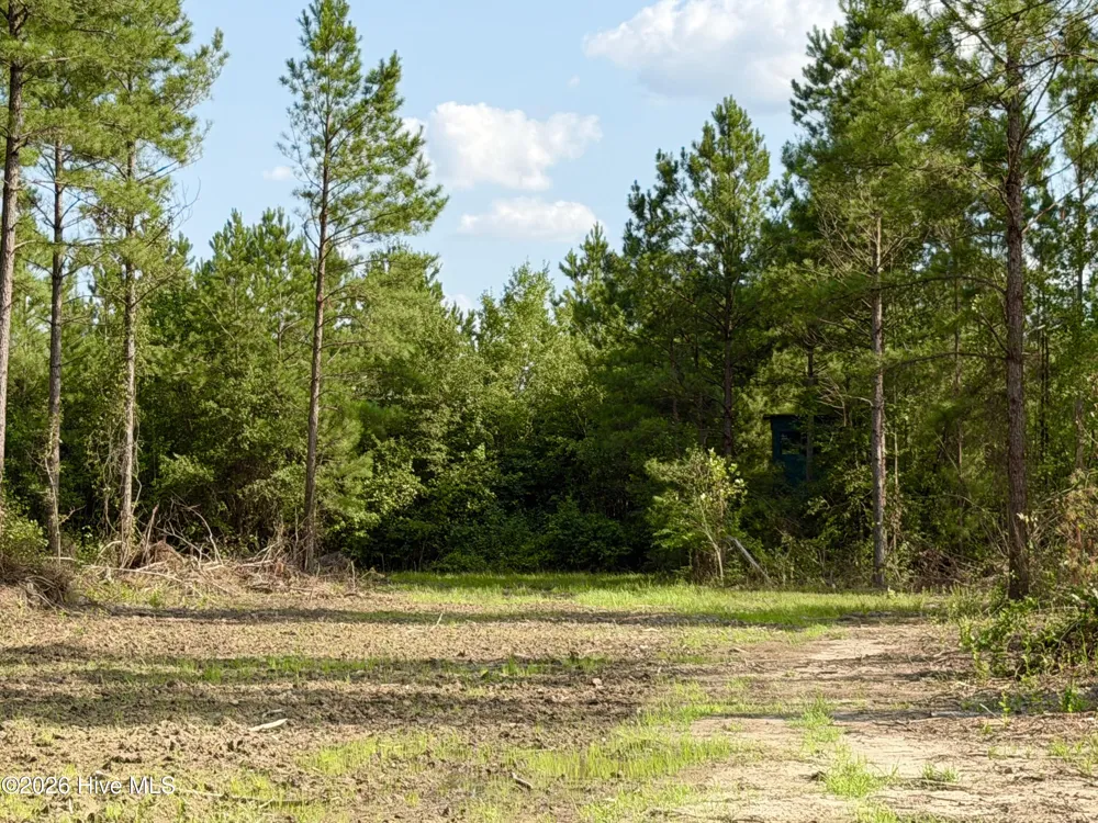 2310 Devils Racetrack Road Four Oaks, NC 27524