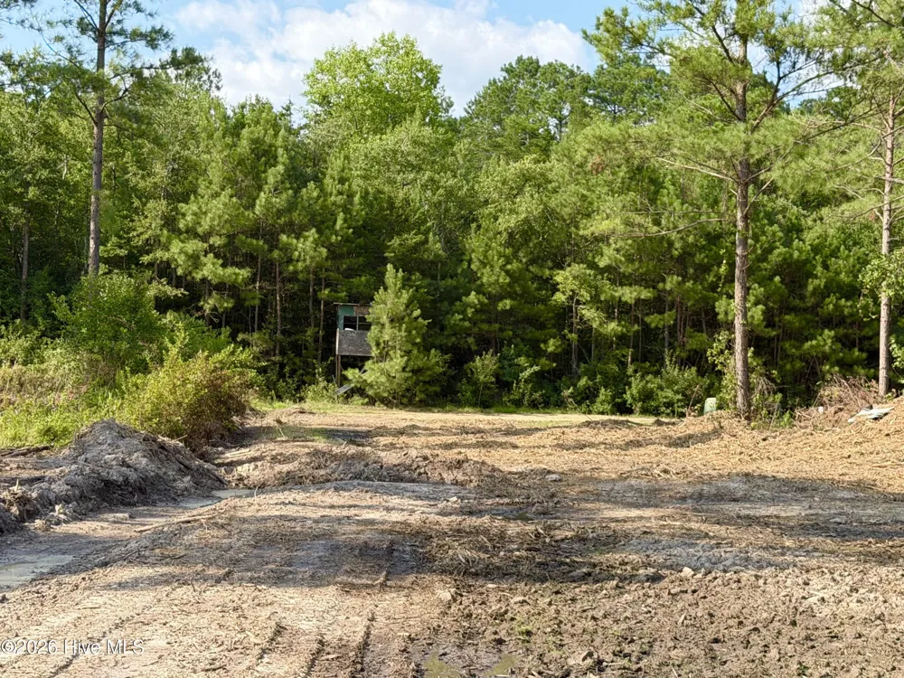 2310 Devils Racetrack Road Four Oaks, NC 27524