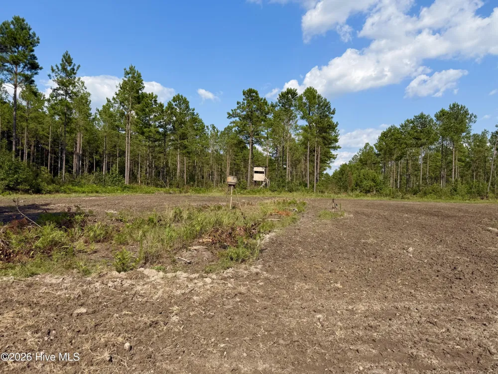 2310 Devils Racetrack Road Four Oaks, NC 27524