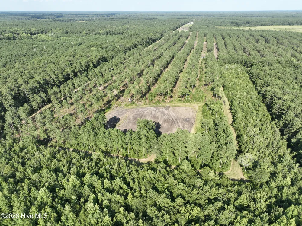 2310 Devils Racetrack Road Four Oaks, NC 27524