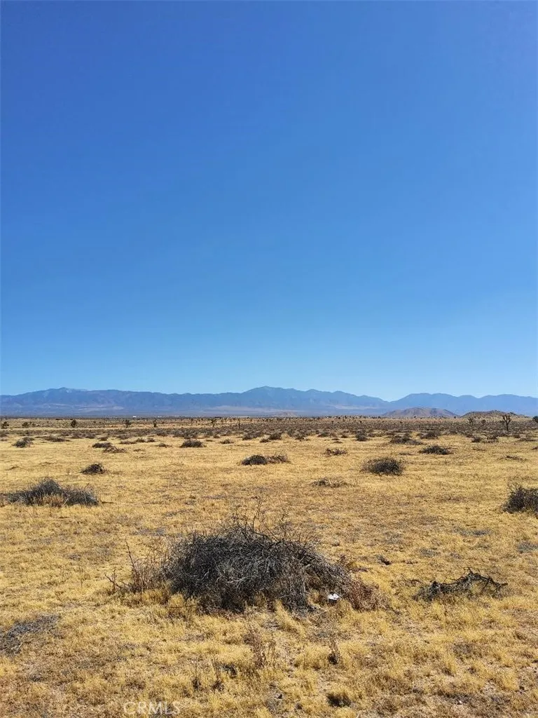 255 W Avenue N Palmdale, CA 93551