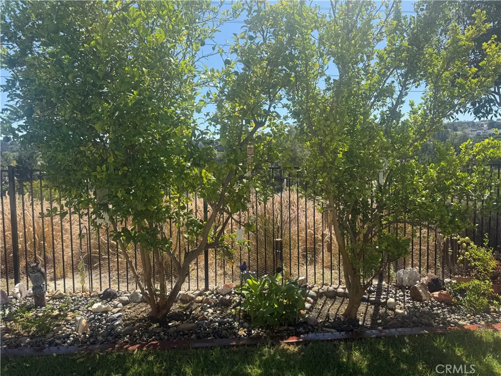 16 Bower Lane Ladera Ranch, CA 92694
