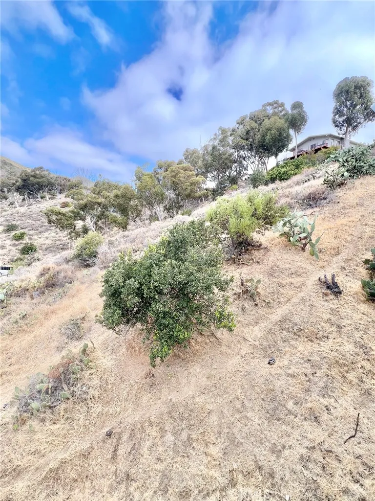 109 Tremont Avalon, CA 90704