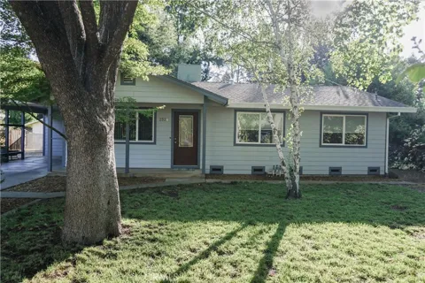 2324 Fern