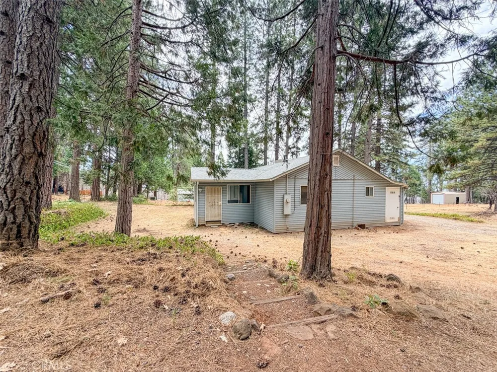 9803 Cohasset Road Chico, CA 95973
