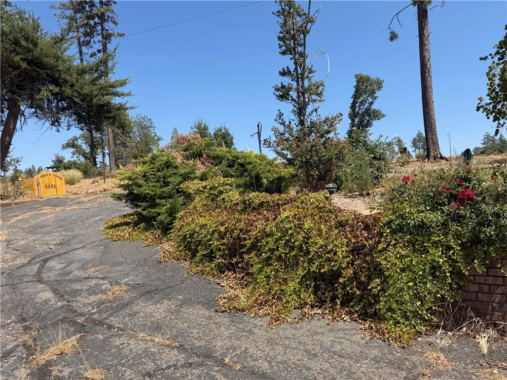 5689 Brookview Way Paradise, CA 95969