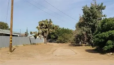 Olive Street