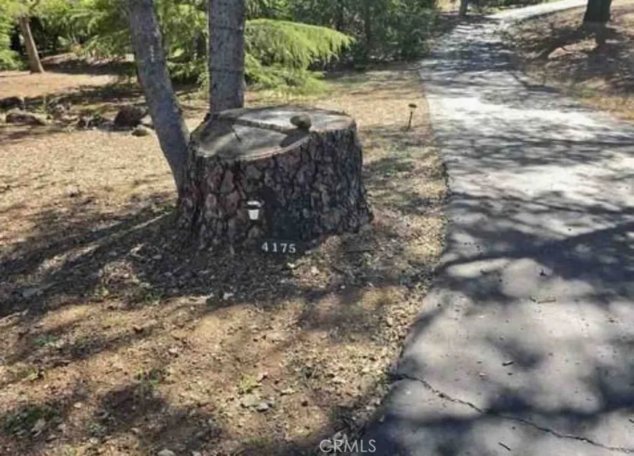 4175 Vega Shingle Springs, CA 95682