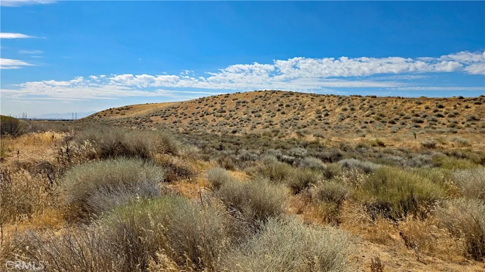 Cor Myrick Canyon Rd & Barset Lancaster, CA 93536