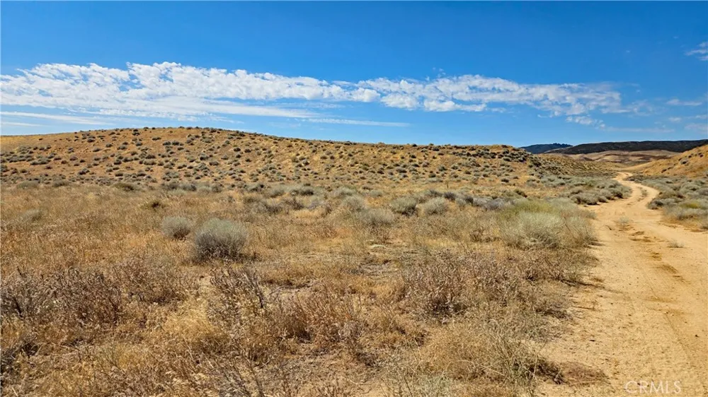 Cor Myrick Canyon Rd & Barset Lancaster, CA 93536