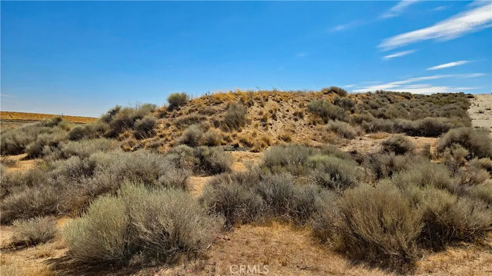 Cor Myrick Canyon Rd & Barset Lancaster, CA 93536