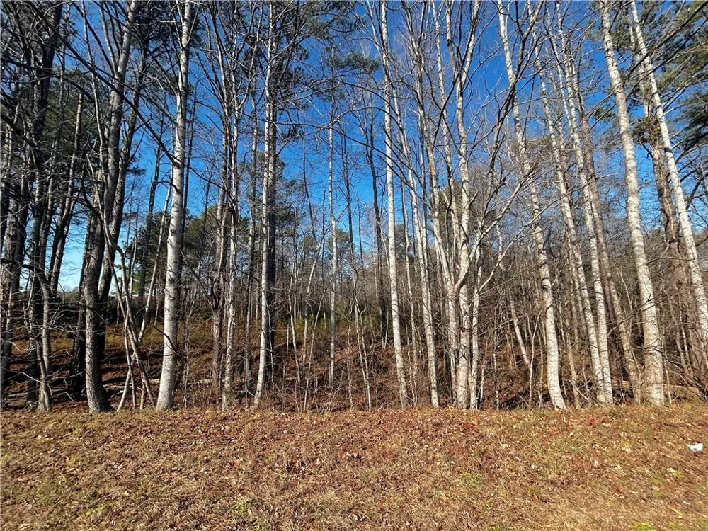 2013 Lake Paradise Road Villa Rica, GA 30180