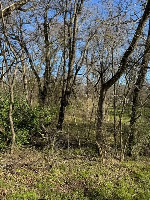 Maple Gun Barrel City, TX 75156