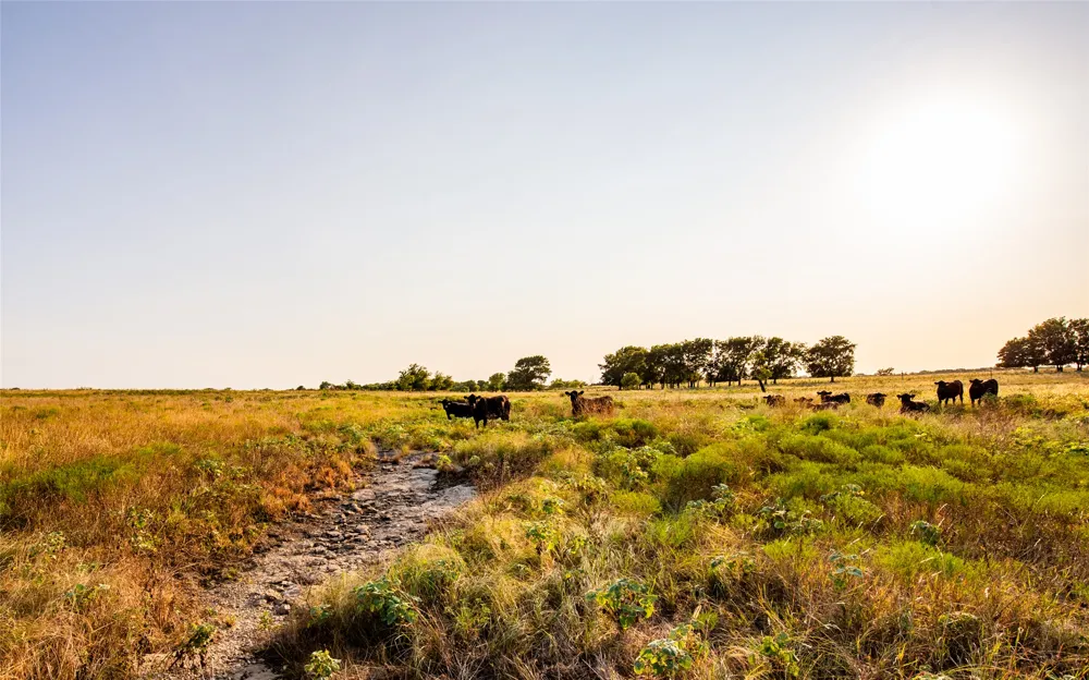 438505 E 370 ROAD Big Cabin, OK 74332