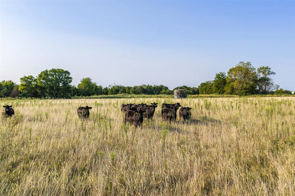 438505 E 370 ROAD Big Cabin, OK 74332
