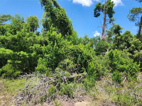 6241 MARINER BOULEVARD #Lot 31