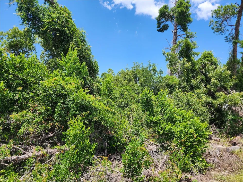 6241 MARINER BOULEVARD #Lot 31 Spring Hill, FL 34609