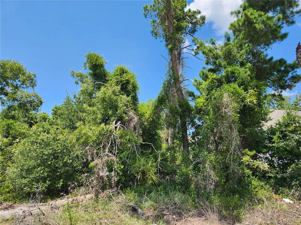 6241 MARINER BOULEVARD #Lot 31 Spring Hill, FL 34609